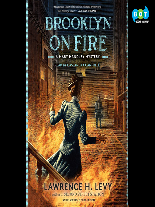 Cover image for Brooklyn on Fire